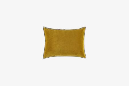 Coussin Aristote - 40 x 55 - Doré