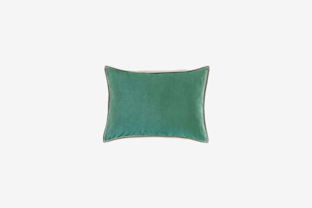 Coussin Aristote - 40 x 55 - Aloe Véra
